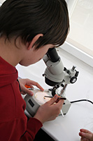 Enfant observant à la loupe binoculaire