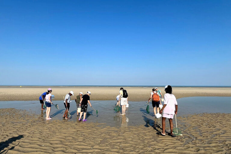 IMG-20240625-WA0039 copie