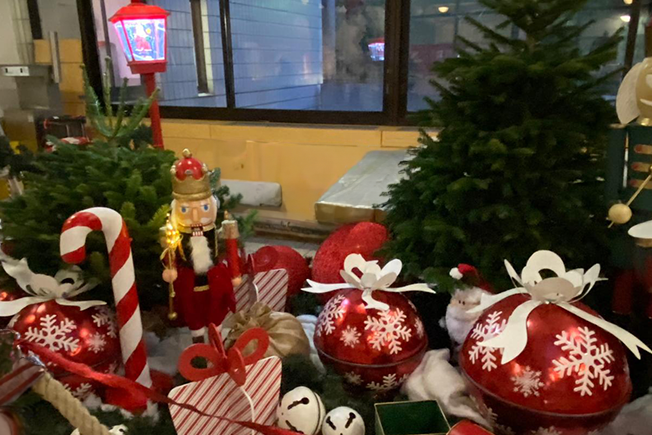 NOEL-2024-870×435