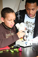 Enfants observant à la loupe binoculaire